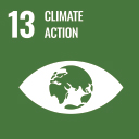 13 climate action